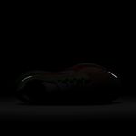 Nike-Pegasus-41