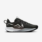 Nike-Pegasus-Trail-5
