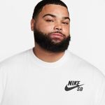 Nike-SB