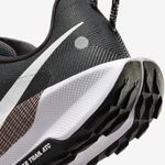 Nike-Pegasus-Trail-5