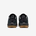 Nike-SB-Vertebrae