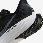 Nike-Pegasus-Plus
