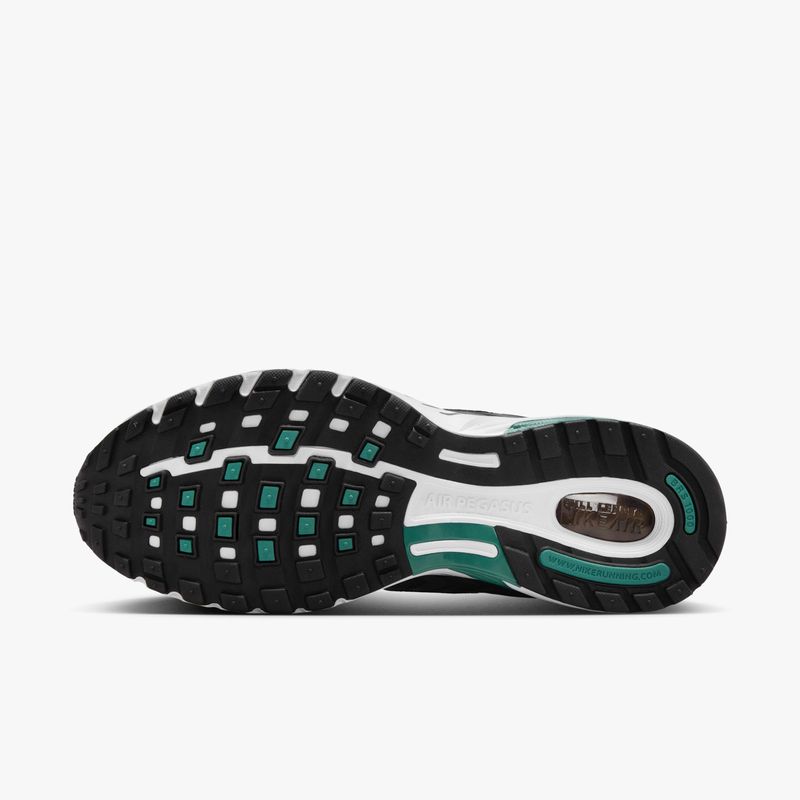 Nike-Air-Pegasus-2005