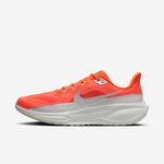 Nike-Pegasus-41-PRM