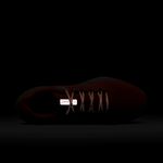 Nike-Pegasus-41-PRM