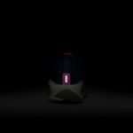Nike-Downshifter-13