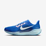 Nike-Pegasus-41