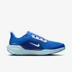 Nike-Pegasus-41