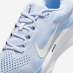 Nike-Winflo-11