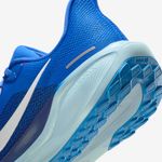 Nike-Pegasus-41