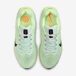 Nike-Winflo-11