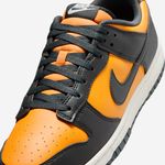 Nike-Dunk-Low-Retro