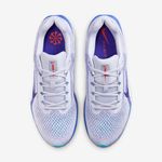 Nike-Winflo-11