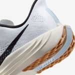 Nike-Pegasus-Plus