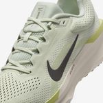 Nike-Winflo-11