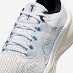 Nike-Pegasus-41