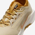 Nike-Pegasus-Trail-5-GORE-TEX-SP