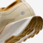 Nike-Pegasus-Trail-5-GORE-TEX-SP