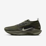 Nike-Pegasus-Trail-5-GORE-TEX-SP