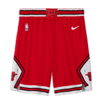 Chicago-Bulls-Icon-Edition