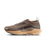 Nike-Pegasus-Trail-5-GORE-TEX