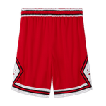 Chicago-Bulls-Icon-Edition