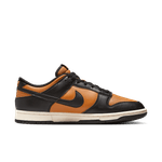 Nike-Dunk-Low-Retro