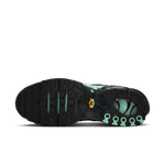 Nike-Air-Max-Plus