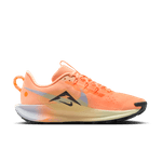 Nike-Pegasus-Trail-5