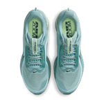 Nike-Pegasus-Premium