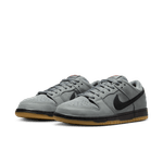 Nike-SB-Dunk-Low-Pro