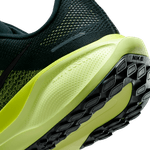 Nike-Pegasus-41