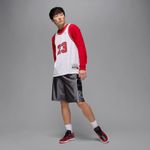 Air-Jordan-1-Low-SE