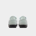 Nike-Astrograbber