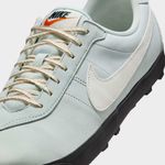 Nike-Astrograbber