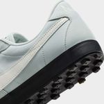 Nike-Astrograbber