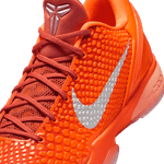 Kobe-VI-Protro