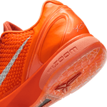 Kobe-VI-Protro