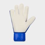 Nike-Match-Goalkeeper