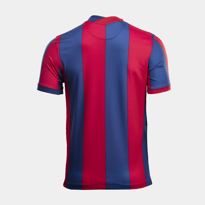 San Lorenzo local 2023 Stadium remeras camisetas Nike Nike Argentina