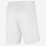 Nike-DriFIT-Park-3