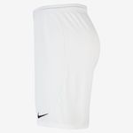 Nike-DriFIT-Park-3